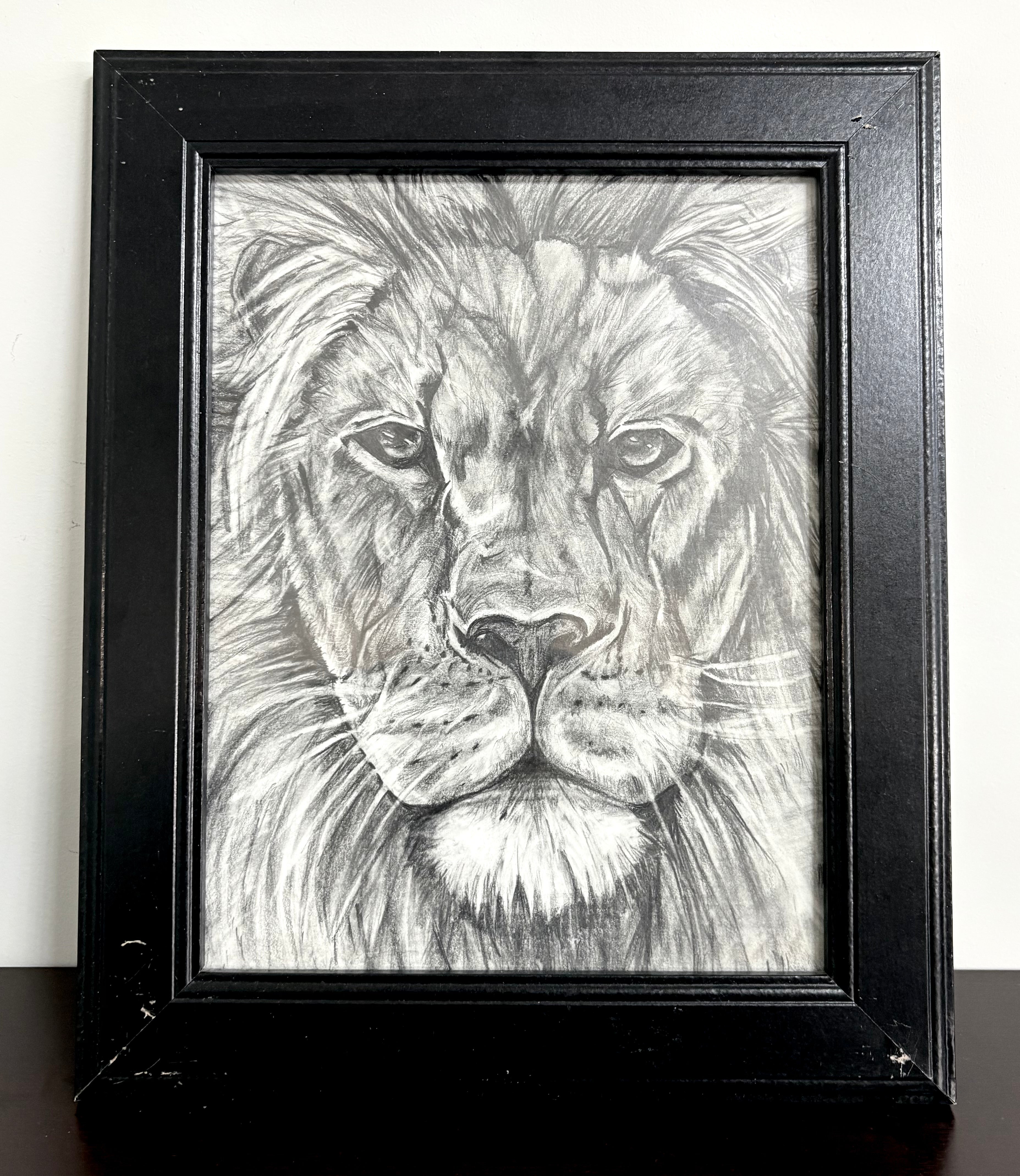 Lion Drawing