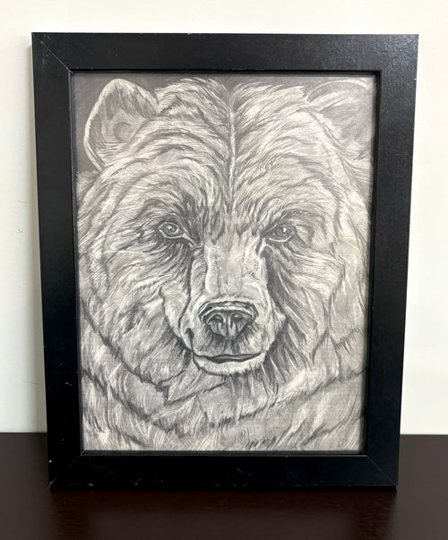Bear Drawing